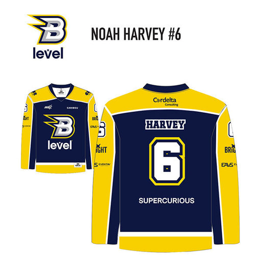 NOAH HARVEY #6 - LEVEL